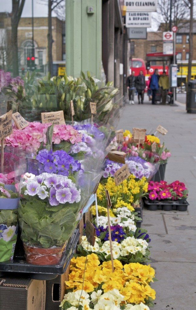 Portobello Market, London by Stephanie Sadler, Little Observaionist