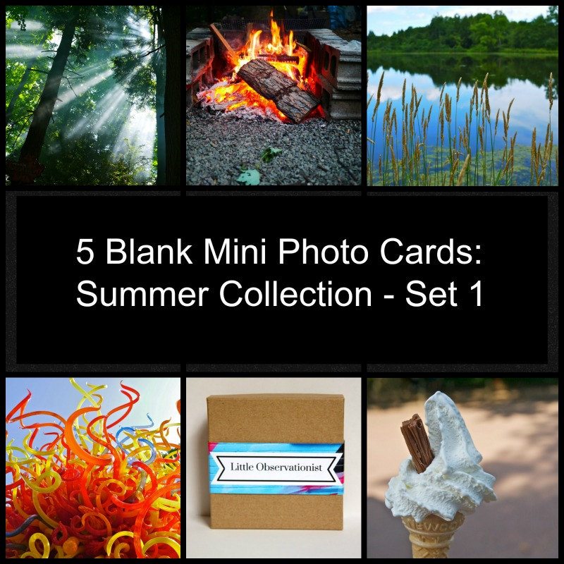 Little Observationist Mini Photo Cards - Summer Collection - Set 1