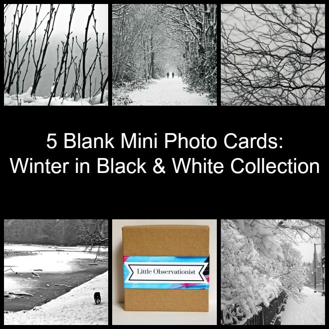 Little Observationist Mini Photo Cards - Winter in Black and White Collection