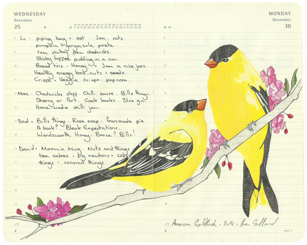 American Goldfinches - - Fran Giffard Interview, Little Observationist