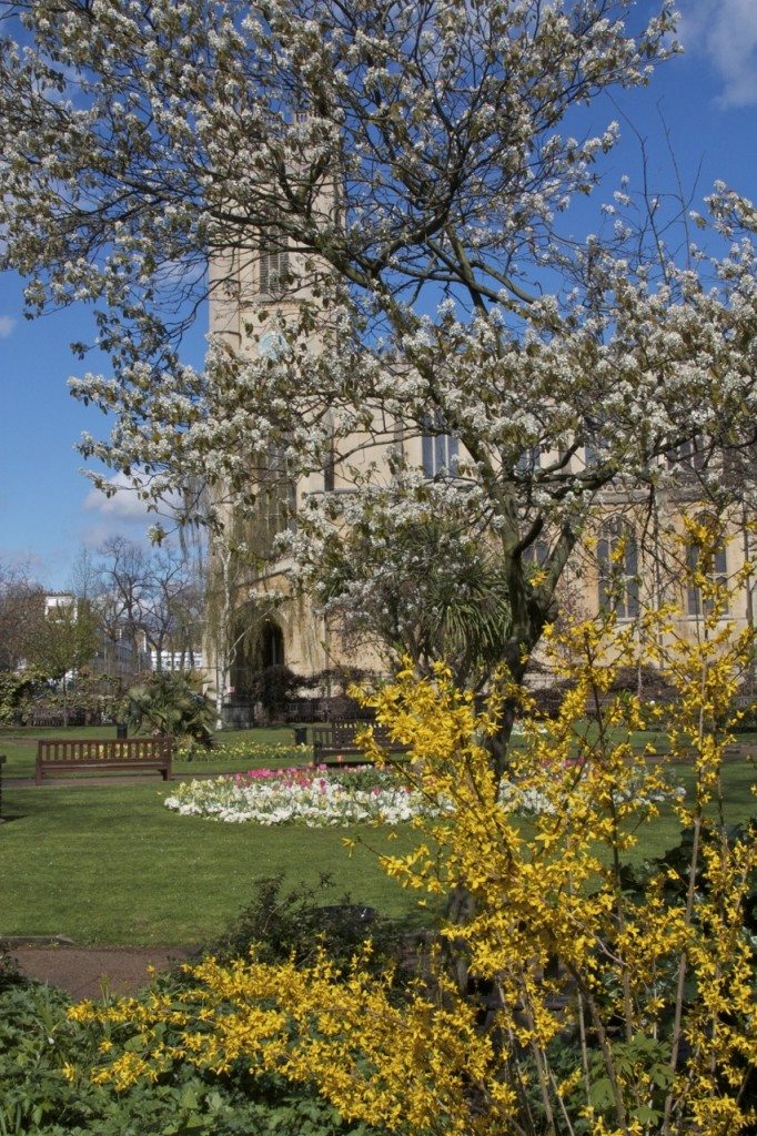 Spring in London by Stephanie Sadler, Little Observationist