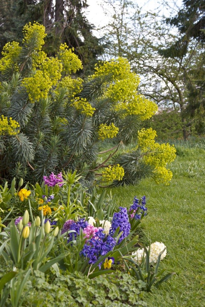 Spring in London by Stephanie Sadler, Little Observationist