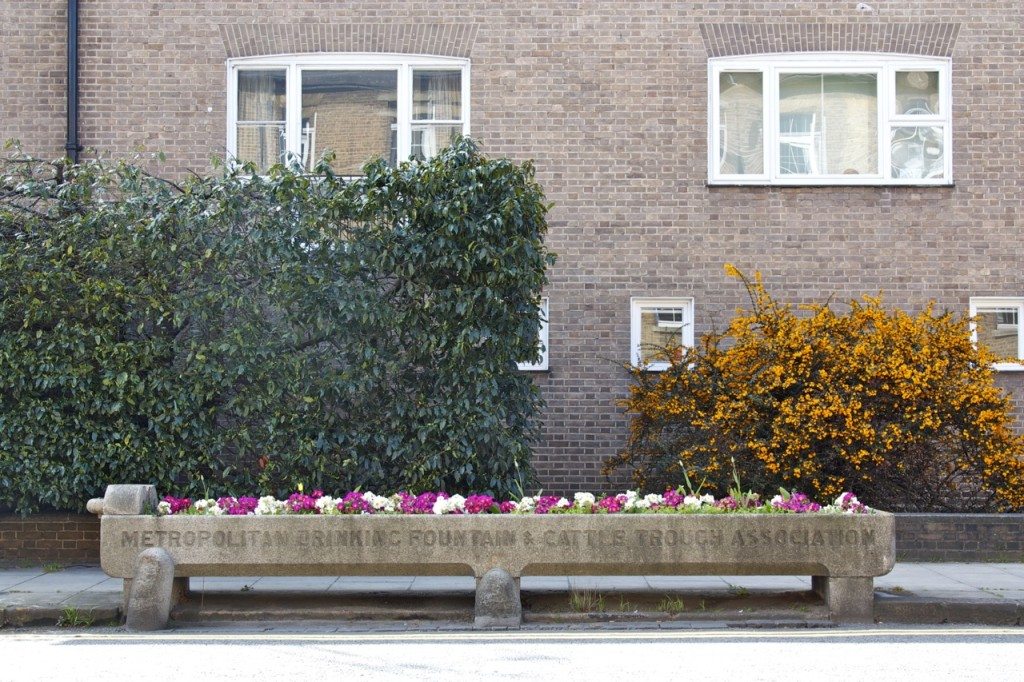 Spring in London by Stephanie Sadler, Little Observationist