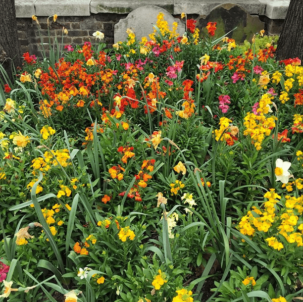 Flowers in St. Luke's London by Stephanie Sadler, Little Observationist