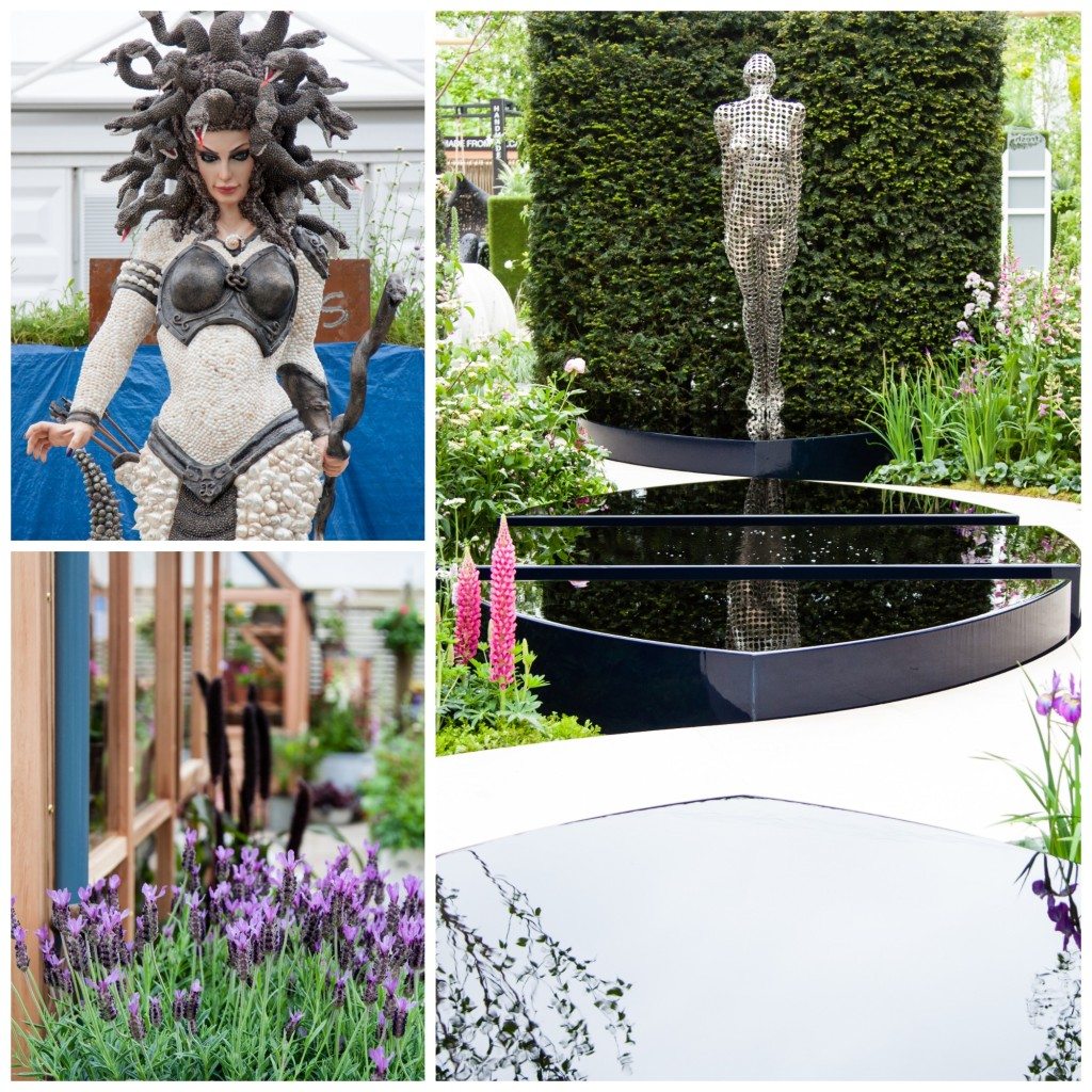 Chelsea Flower Show 2015 by Stephanie Sadler, Little Observationist2