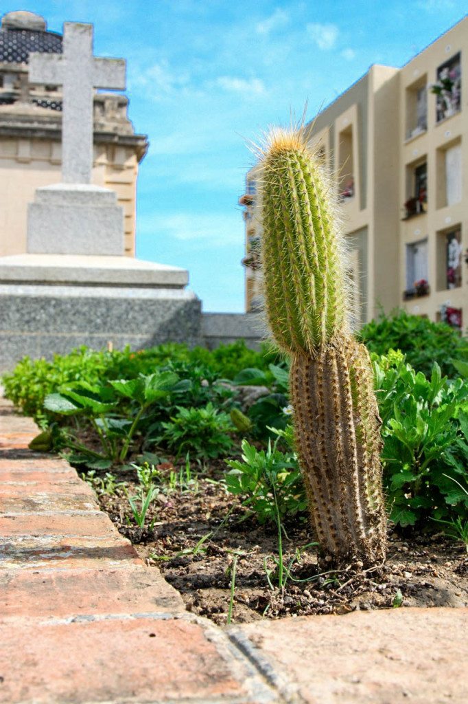 Lloret de Mar, Spain by Stephanie Sadler, Little Observationist