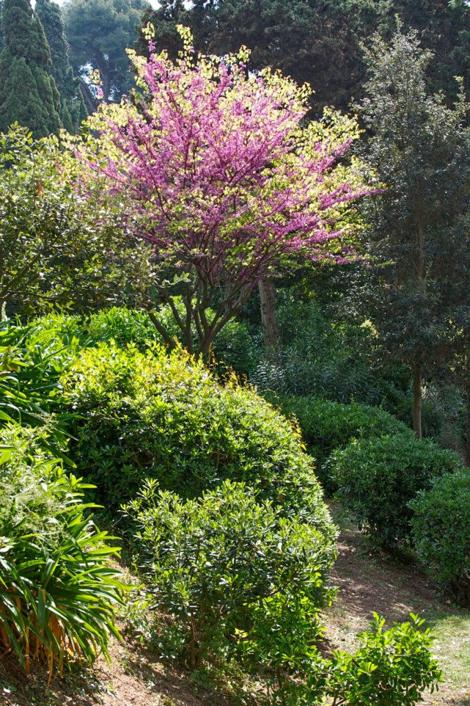 Lloret de Mar, Spain by Stephanie Sadler, Little Observationist