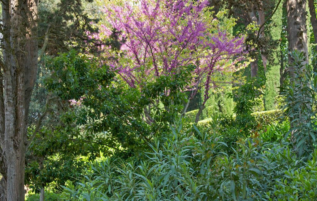 Lloret de Mar, Spain by Stephanie Sadler, Little Observationist