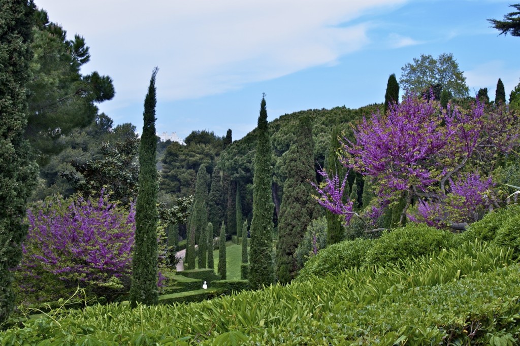 Lloret de Mar by Stephanie Sadler, Little Observationist