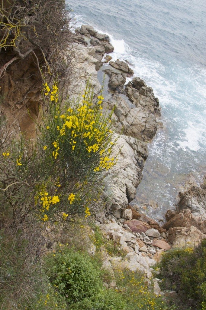 Lloret de Mar by Stephanie Sadler, Little Observationist