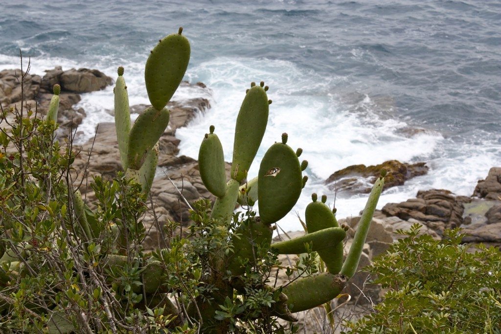 Lloret de Mar by Stephanie Sadler, Little Observationist