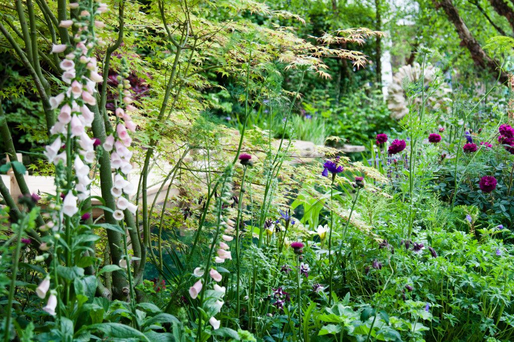 Chelsea Flower Show 2015 by Stephanie Sadler, Little Observationist