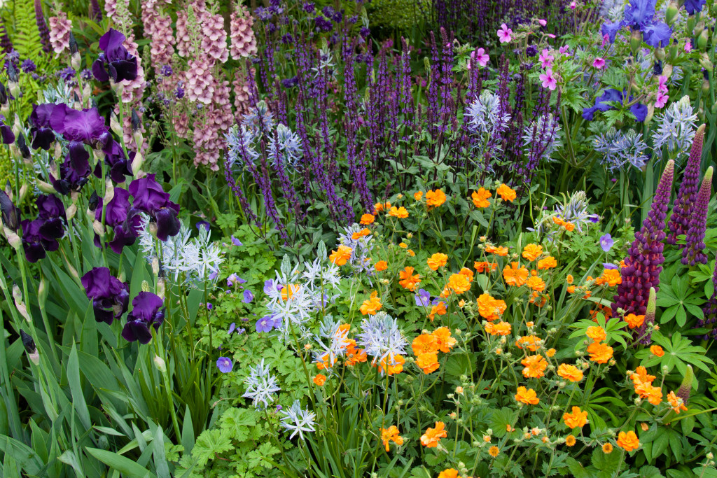 Chelsea Flower Show 2015 by Stephanie Sadler, Little Observationistt