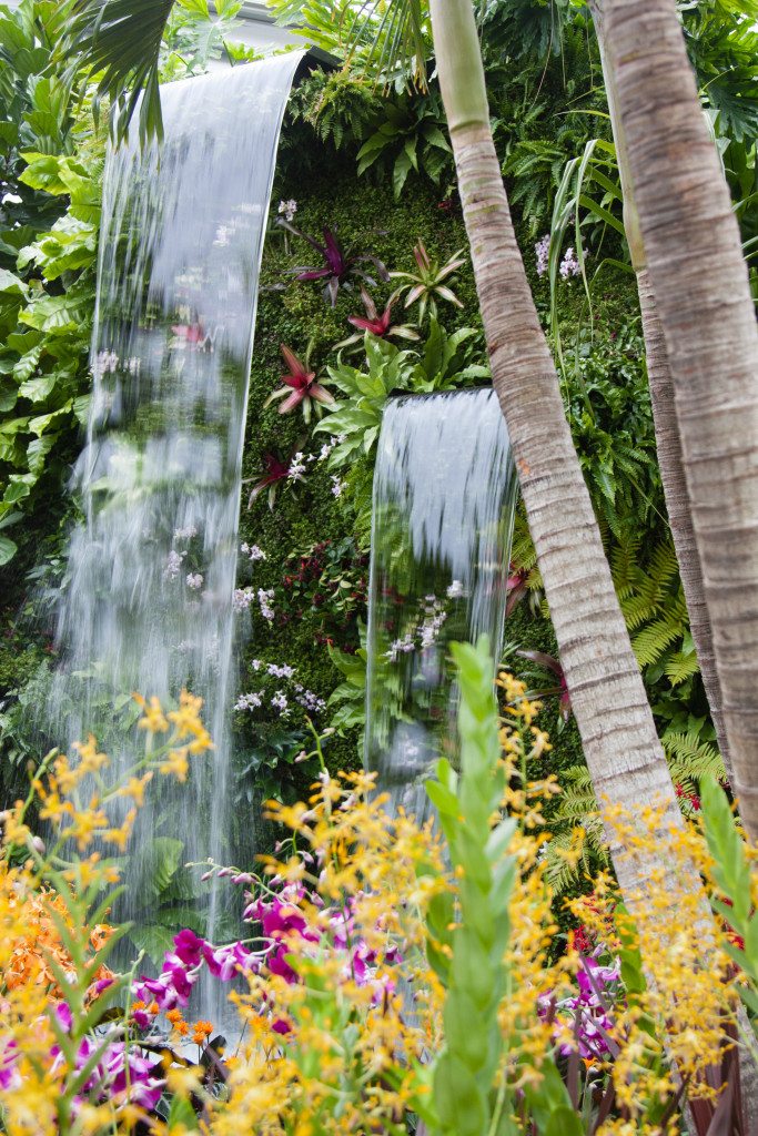 Chelsea Flower Show 2015 by Stephanie Sadler, Little Observationist