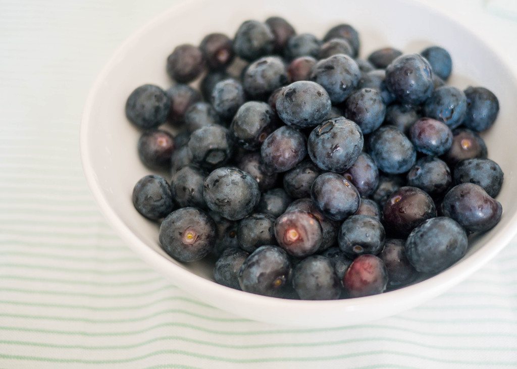 Blueberry Custard Pie, Little Observationist