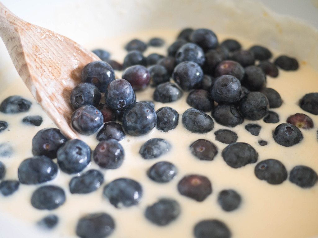 Blueberry Custard Pie, Little Observationist