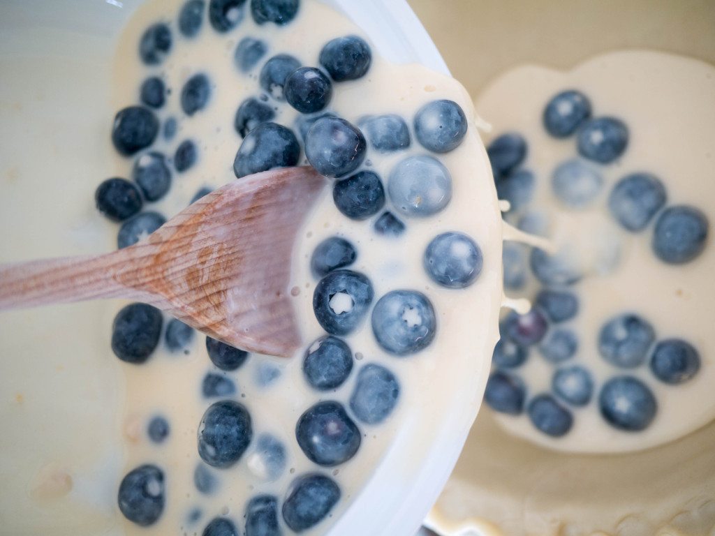 Blueberry Custard Pie, Little Observationist