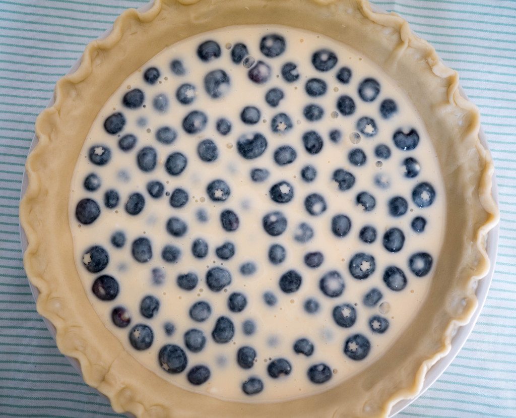 Blueberry Custard Pie, Little Observationist