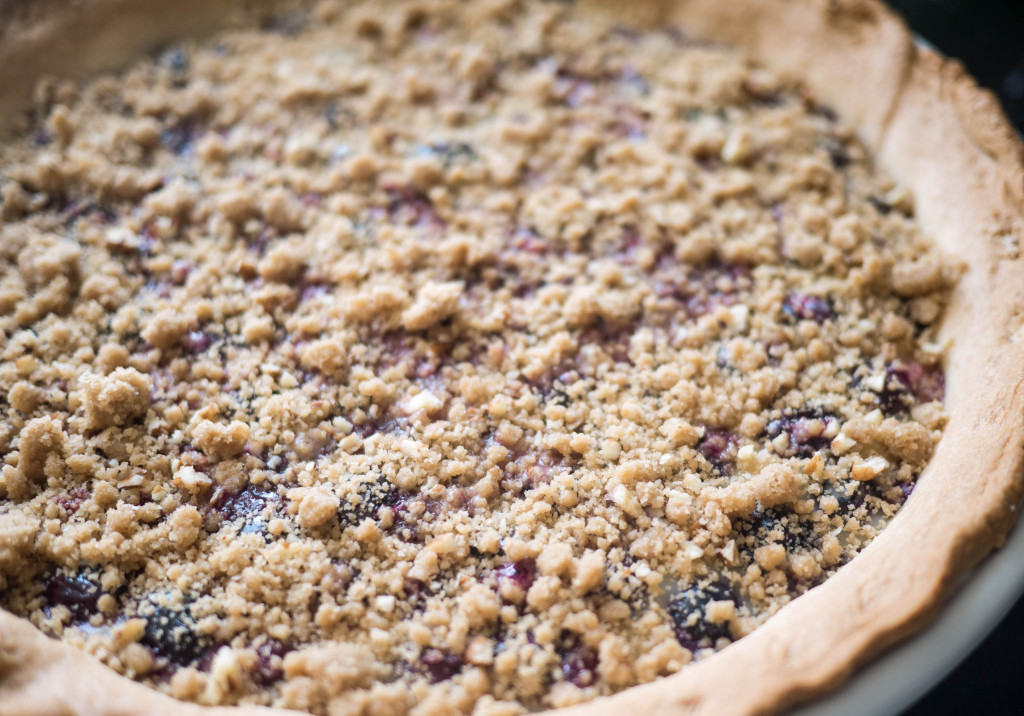 Blueberry Custard Pie, Little Observationist