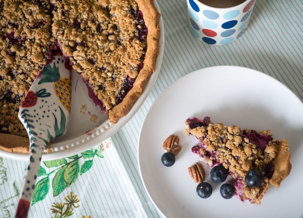 Blueberry Custard Pie, Little Observationist