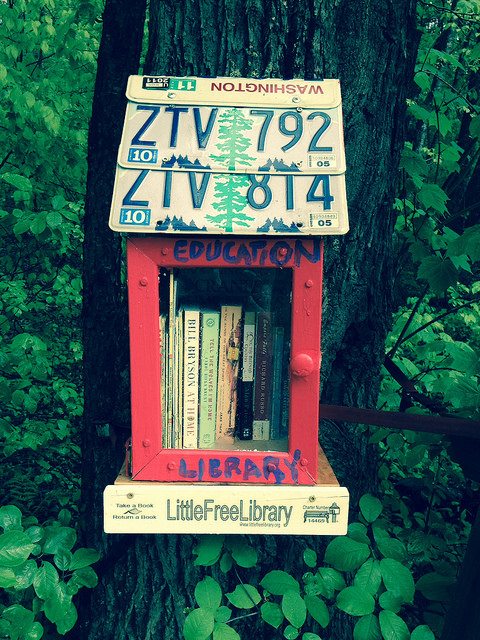 Little Free Library Interview Rick Brooks