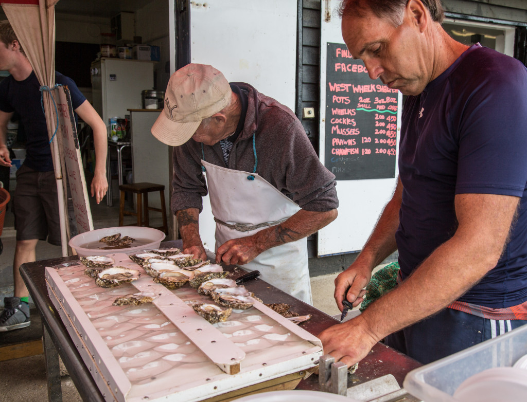 Whitstable by Stephanie Sadler, Little Observationist