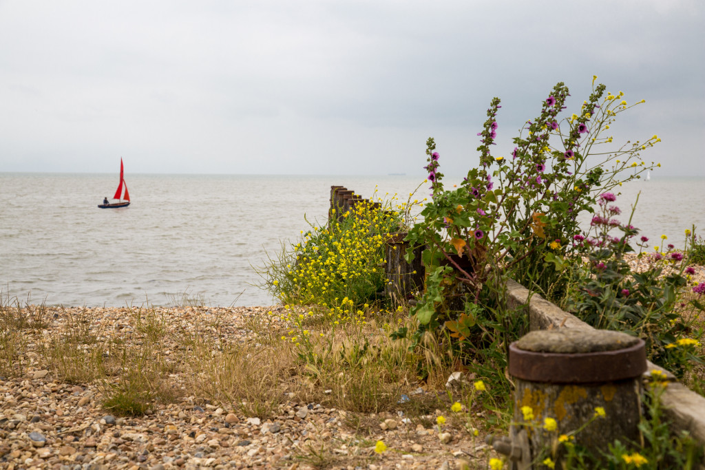 Whitstable by Stephanie Sadler, Little Observationist