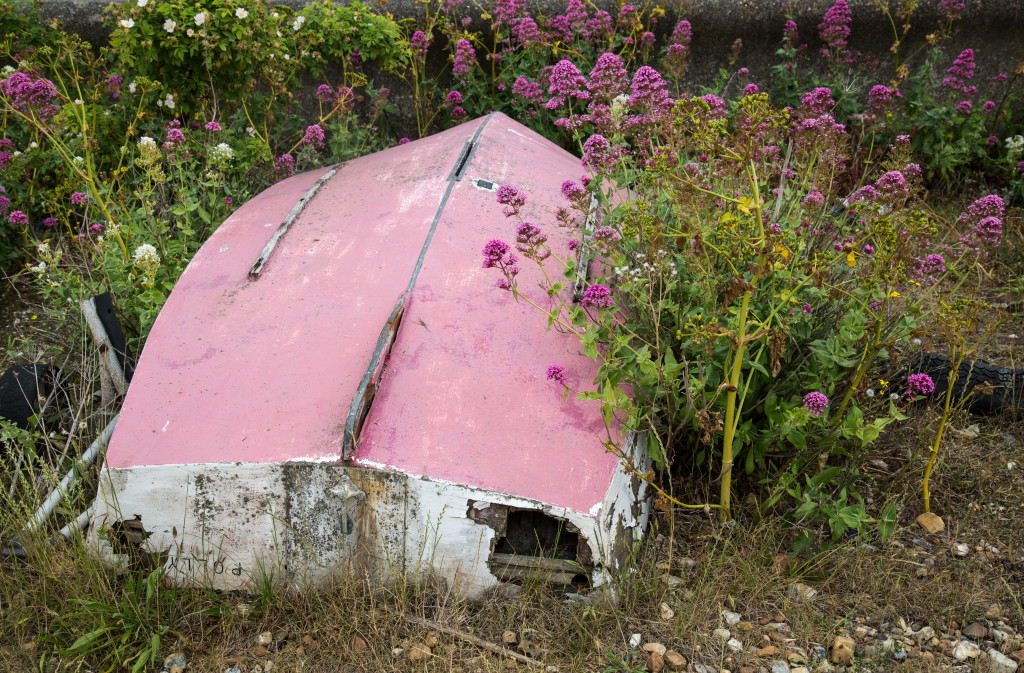 Whitstable by Stephanie Sadler, Little Observationist