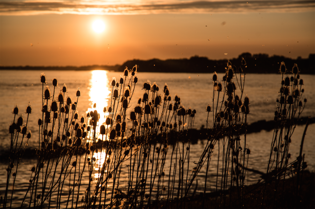 Sunset over the Niagara River by Stephanie Sadler, Little Observationist