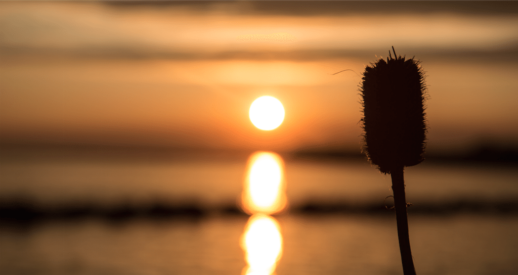 Sunset over the Niagara River by Stephanie Sadler, Little Observationist