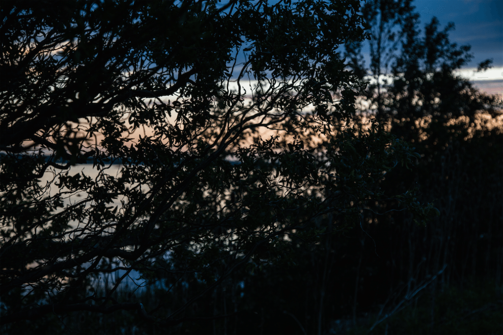 Sunset over the Niagara River by Stephanie Sadler, Little Observationist