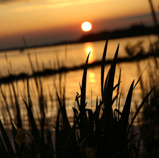 Niagara River Sunset by Stephanie Sadler, Little Observationist