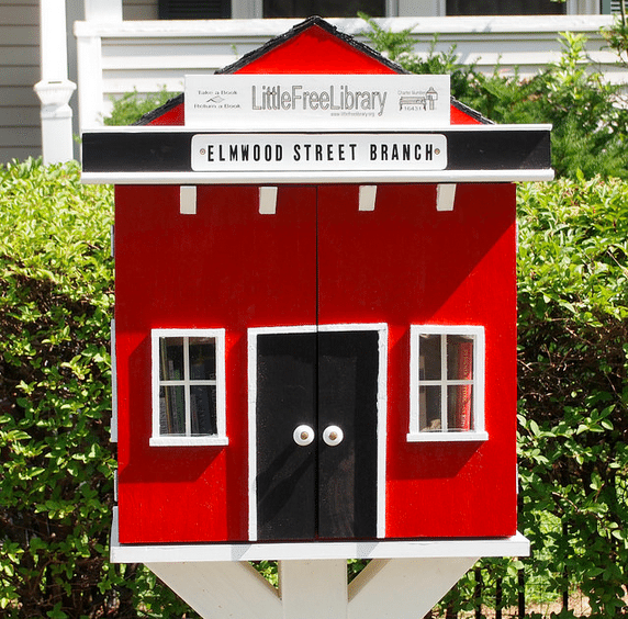 Little Free Library Interview Rick Brooks