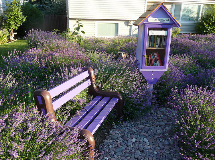 Little Free Library Interview Rick Brooks