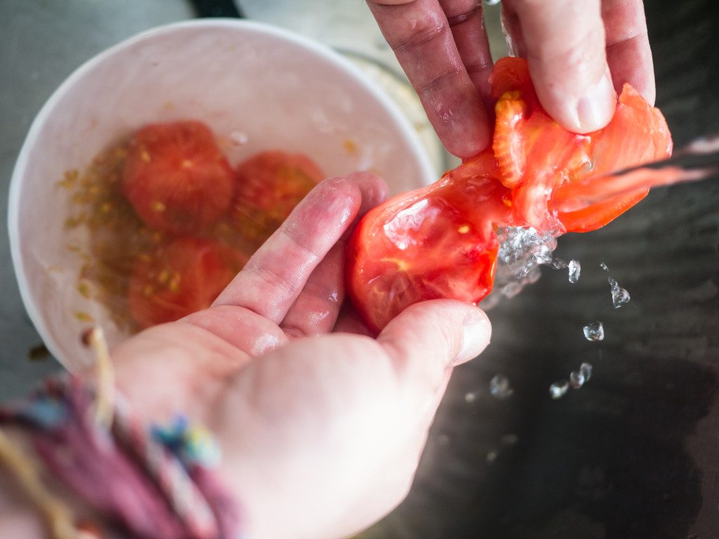 Gazpacho Recipe, Little Observationist