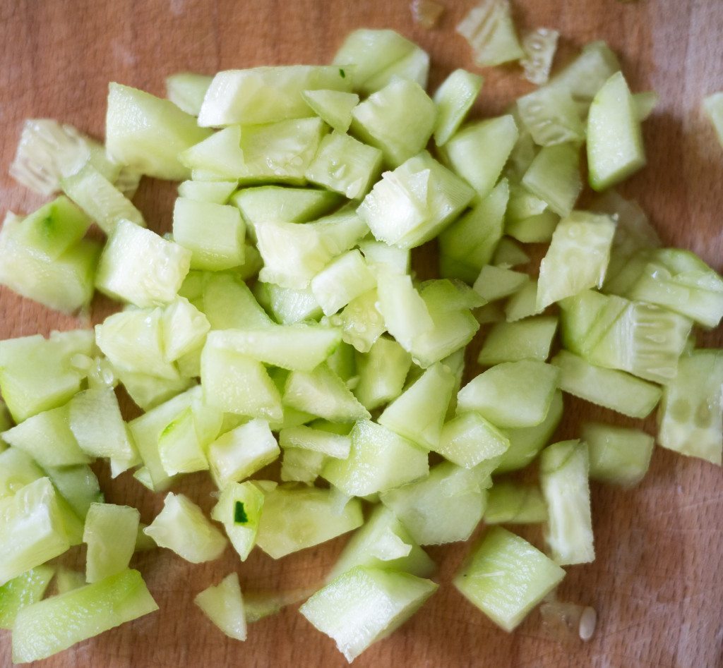 Gazpacho Recipe, Little Observationist