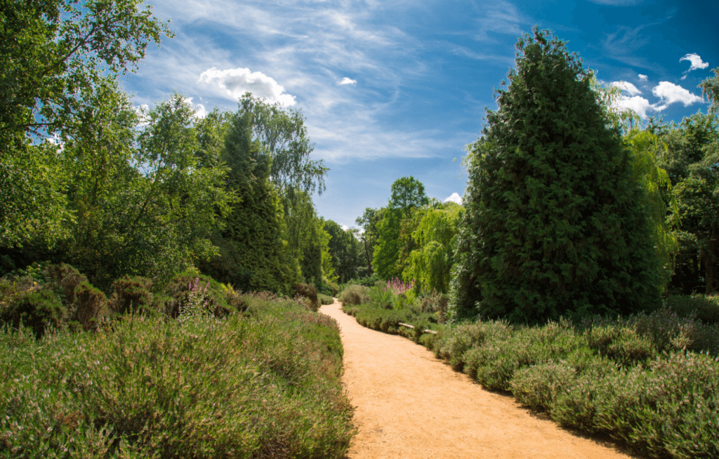 Richmond Park, London, by Stephanie Sadler, Little Observationist