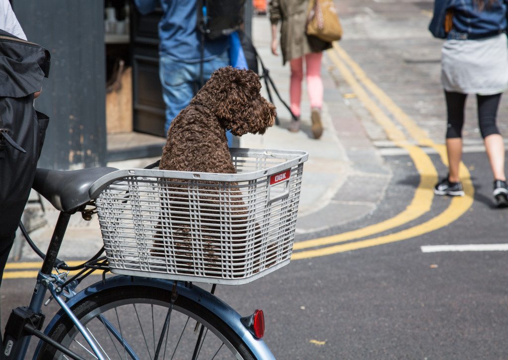 East London by Stephanie Sadler, Little Observationist