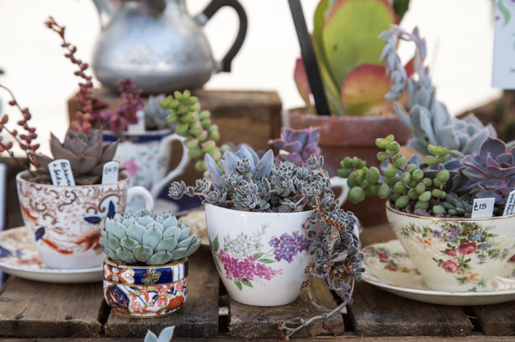 Marylebone Farmers Market, London by Stephanie Sadler, Little Observationist