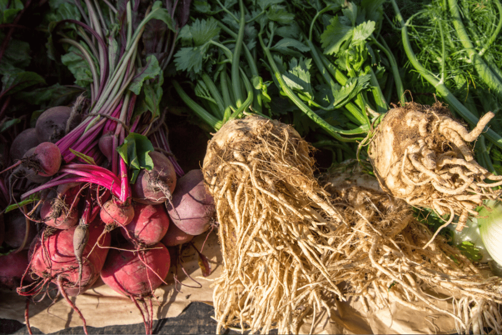 Marylebone Farmers Market, London by Stephanie Sadler, Little Observationist