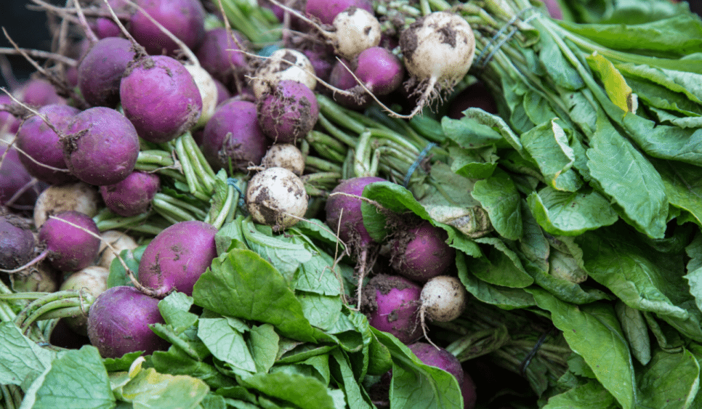 Marylebone Farmers Market, London by Stephanie Sadler, Little Observationist