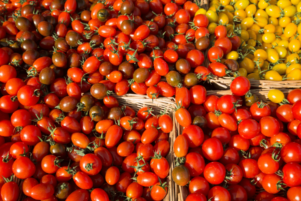 Marylebone Farmers Market, London by Stephanie Sadler, Little Observationist