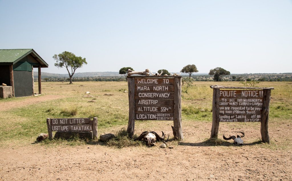 Maasai Mara, Kenya by Stephanie Sadler, Little Observationist