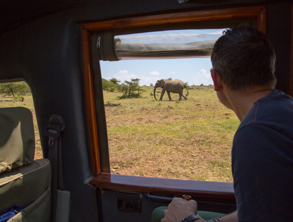 Maasai Mara, Kenya by Stephanie Sadler, Little Observationist