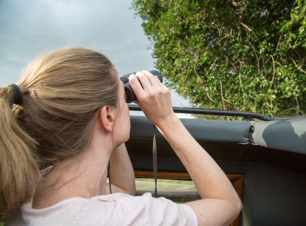 Maasai Mara, Kenya by Stephanie Sadler, Little Observationist