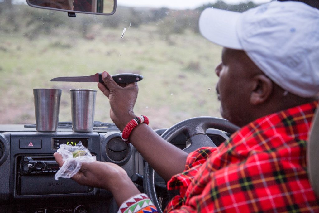 Maasai Mara, Kenya by Stephanie Sadler, Little Observationist