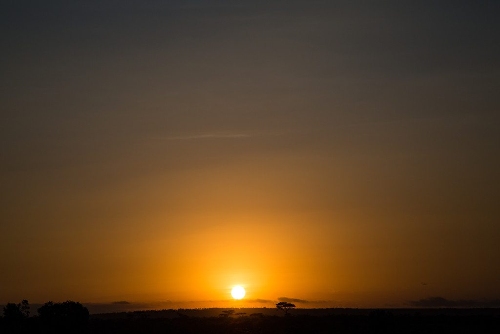 Maasai Mara, Kenya by Stephanie Sadler, Little Observationist