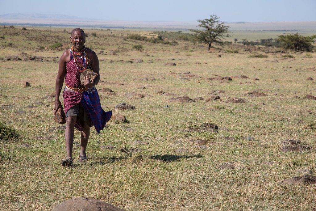 Maasai Mara, Kenya by Stephanie Sadler, Little Observationist