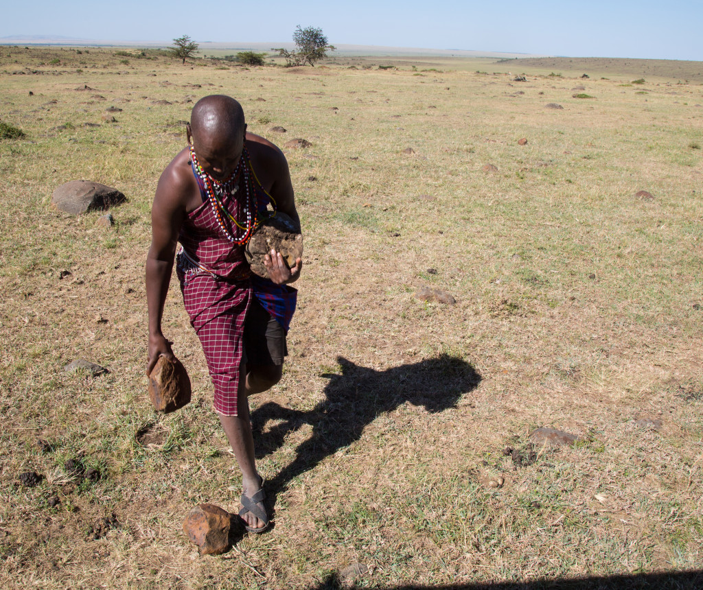 Maasai Mara, Kenya by Stephanie Sadler, Little Observationist