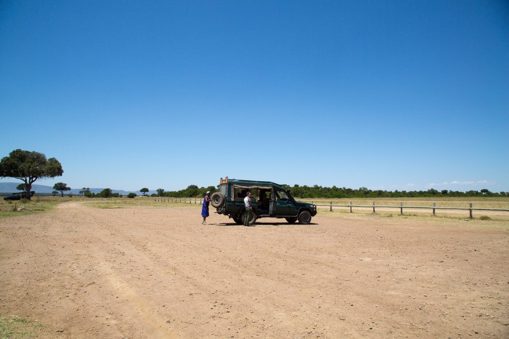 Maasai Mara, Kenya by Stephanie Sadler, Little Observationist